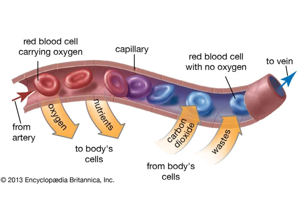 87de54f874c1ea2a82d06842e963da5a28f39882 1146x819