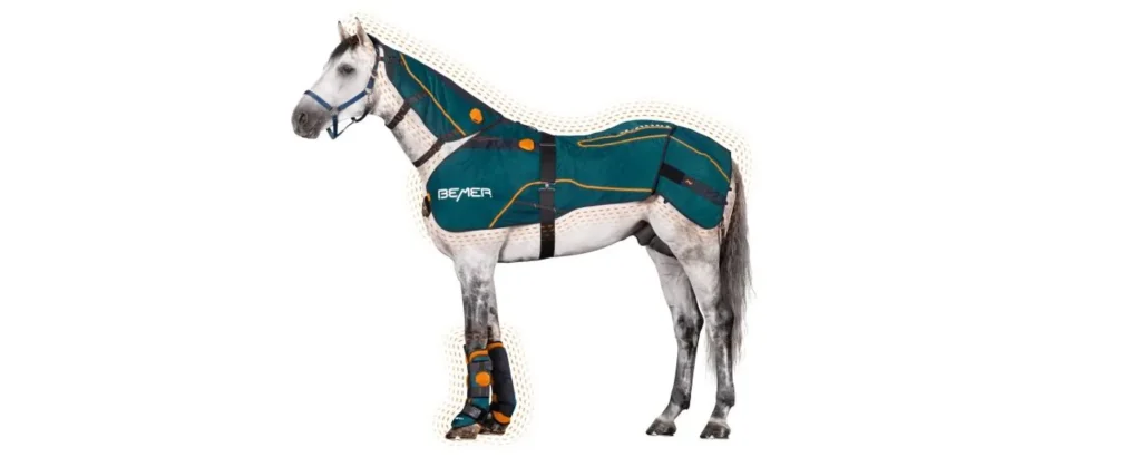 horse set